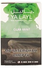 Табак YALAYL Gum Mint 35 г